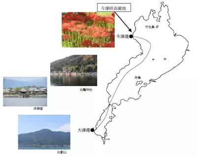 ～ 秋のびわ湖クルーズと“今津桂浜園地”のヒガンバナを楽しむ～今津桂浜園地の彼岸花観賞クルーズ＆ウォーク