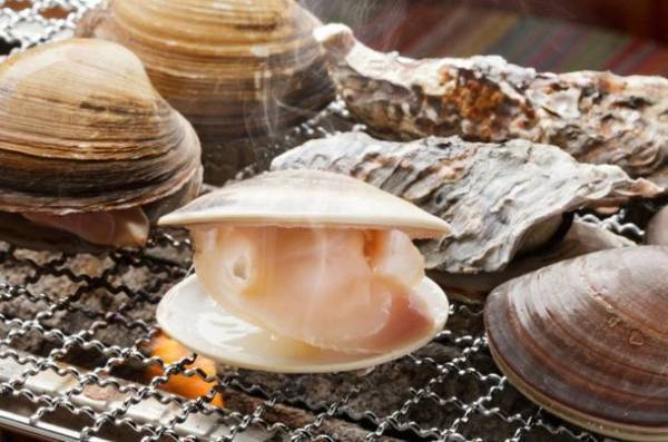 千葉県木更津市RVパーク「GREEN BASE」　車中泊キャンパー専用「市場直送海鮮BBQセット」販売開始