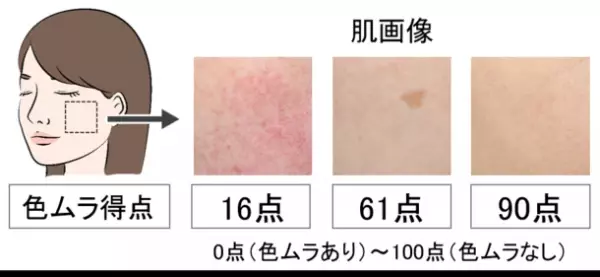 肌の赤色のムラはシワ以上に美肌印象に重要　日本メナード化粧品、肌の色ムラの状態を点数化する技術を開発