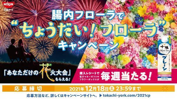 “日常空間”で、一生に一度の“非日常体験”を　「あなただけの密にならない花火大会」（100万円相当)が当たる！色や形、順番も自分好みにカスタマイズした花火をあなたのご自宅の近く※で打ち上げます！※条件あり