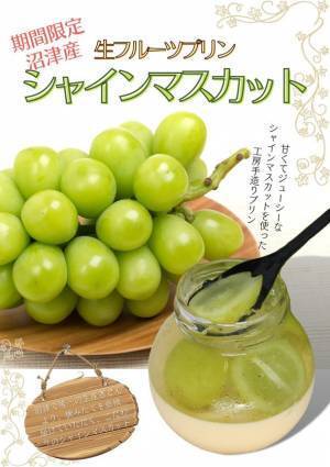 日本で唯一の“プリン専用自動販売機”でこの秋新作“シャインマスカットプリン”が沼津港で24時間いつでも買える！