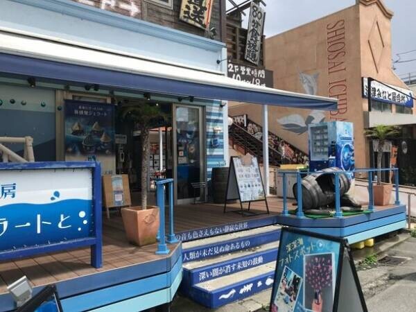 日本で唯一の“プリン専用自動販売機”でこの秋新作“シャインマスカットプリン”が沼津港で24時間いつでも買える！