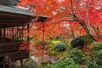 貸し切りのなか、密を避け、京都の紅葉を愛でる京都ブライトンホテルの朝活 秋の特別早朝拝観プランを販売開始