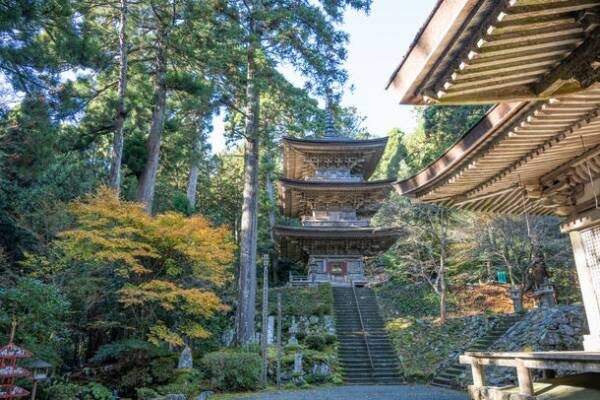 福井県小浜市で秋の自然、美食、寺社仏閣、町歩きを楽しむ。秋の若狭おばま大人の癒し旅キャンペーンが9/18よりスタート！