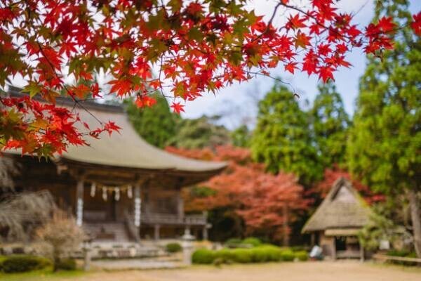 福井県小浜市で秋の自然、美食、寺社仏閣、町歩きを楽しむ。秋の若狭おばま大人の癒し旅キャンペーンが9/18よりスタート！