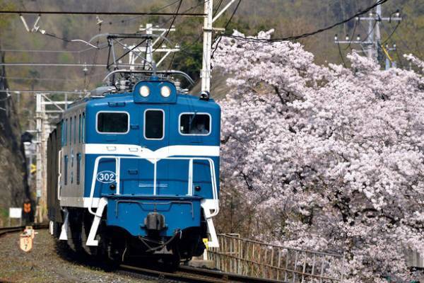 10月は秩父鉄道で鉄道体験を楽しもう！　大人も子どもも楽しめる電気機関車撮影会、SL出区点検見学ツアー、ダイヤ作成教室を開催！