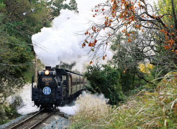 10月は秩父鉄道で鉄道体験を楽しもう！　大人も子どもも楽しめる電気機関車撮影会、SL出区点検見学ツアー、ダイヤ作成教室を開催！