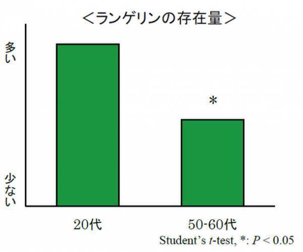 冬虫夏草とルバーブに皮膚免疫を担うランゲルハンス細胞の生存維持に重要な表皮細胞の「RANKL」を増やす効果を発見　日本生薬学会第67回年会にて発表