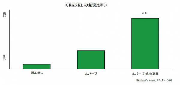 冬虫夏草とルバーブに皮膚免疫を担うランゲルハンス細胞の生存維持に重要な表皮細胞の「RANKL」を増やす効果を発見　日本生薬学会第67回年会にて発表