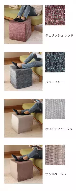 40年間、樹脂の研究をしてきたパネフリ工業が独自開発した運動ツール「バランスキューブ HANERUTO(はねると)」を発表　2021年11月の公式販売に向けて、販売代理店を募集