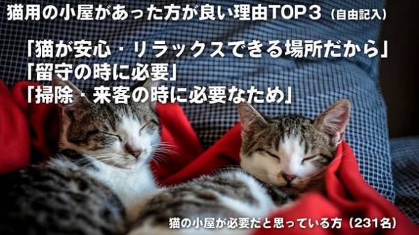 猫グッズを販売するブランド「なにわ猫」が猫に関する調査を実施　猫を飼い始める理由「新型コロナの影響」が約4割