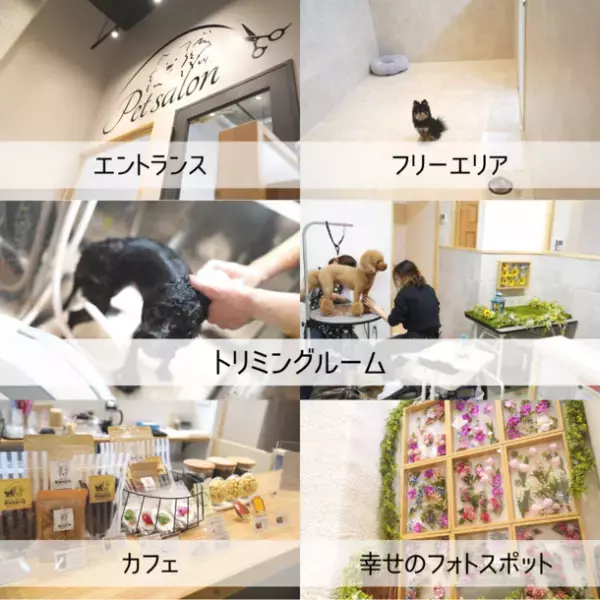 オープンから2週間でインスタフォロワー2,500人超！“安心して預けられる”話題のトリミングサロン「pofuri(ぽふり)」横浜市都筑区にオープン！