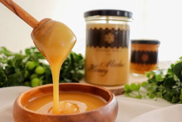 北欧リトアニア産リンデン(菩提樹)高級「生」はちみつのファミリーサイズ(500g)のクラウドファンディングをCAMPFIREで9月28日(火)より開始