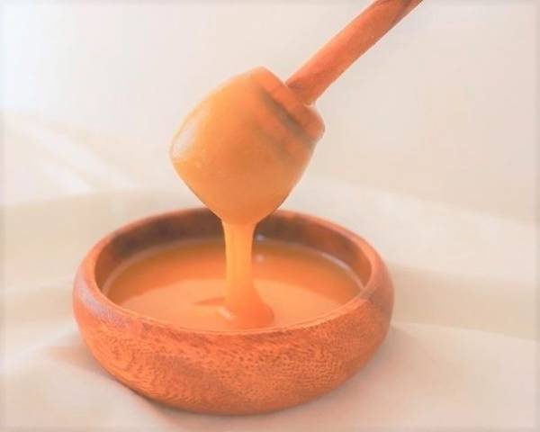 北欧リトアニア産リンデン(菩提樹)高級「生」はちみつのファミリーサイズ(500g)のクラウドファンディングをCAMPFIREで9月28日(火)より開始