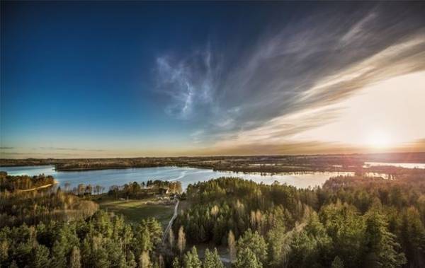 北欧リトアニア産リンデン(菩提樹)高級「生」はちみつのファミリーサイズ(500g)のクラウドファンディングをCAMPFIREで9月28日(火)より開始