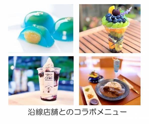 ～観光特急「青の交響曲（シンフォニー）」運行開始５周年記念 第２弾～　吉野線観光キャンペーンを実施します