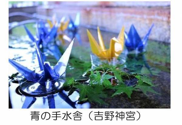 ～観光特急「青の交響曲（シンフォニー）」運行開始５周年記念 第２弾～　吉野線観光キャンペーンを実施します