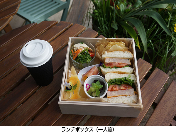 秋の六甲山で特別なひとときを！＼ROKKO森の音(ね)ミュージアム貸切ドームでピクニック体験／