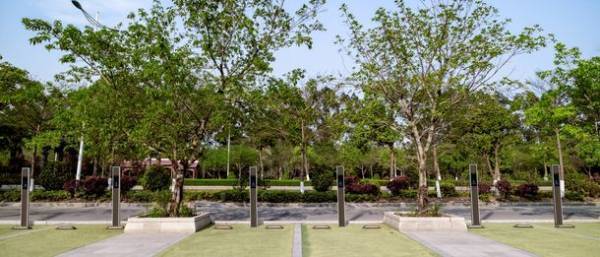 国内初の環境配慮型・観光MaaS「NIKKO MaaS」が10月28日(木)サービス開始！