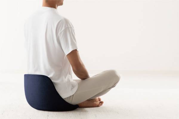 鞍から発想した 新しい座りのかたち　腰がラクになる姿勢サポートシート 発売