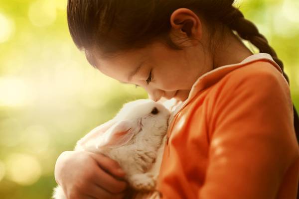 秋深まる「大自然の冒険テーマパーク」にて、仲間と共に、日頃のストレスから解放。本能を揺さぶる大興奮を！