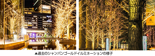 Grand Wish Christmas 2021Disney Ultimate Princess Celebration ～Sparkling Moments～