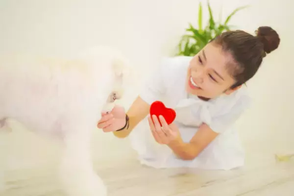 【業界初！消毒業者と連携】コロナ感染者のペットのお世話・散歩代行サービスを提供在宅療養・入院にも対応