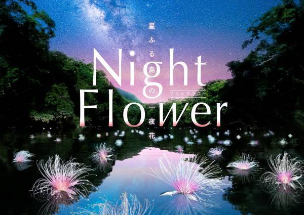 中川大志と巡る、星と幻の花を探す旅『Night Flower ～星ふる島の一夜花～』2021年11月19日(金)より上映！