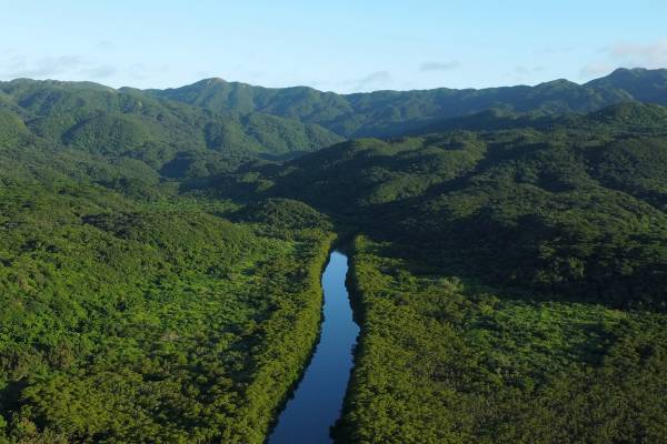 中川大志と巡る、星と幻の花を探す旅『Night Flower ～星ふる島の一夜花～』2021年11月19日(金)より上映！