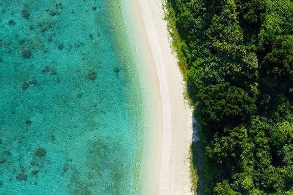 中川大志と巡る、星と幻の花を探す旅『Night Flower ～星ふる島の一夜花～』2021年11月19日(金)より上映！