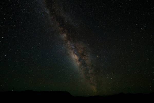 中川大志と巡る、星と幻の花を探す旅『Night Flower ～星ふる島の一夜花～』2021年11月19日(金)より上映！