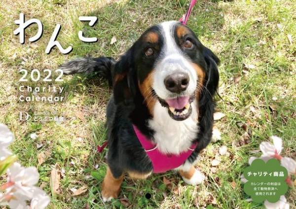 買って応援　犬猫殺処分ゼロへ　応募作品で作られた2022年チャリティーカレンダーを限定販売！第12回「いのちつないだワンニャン写真・動画コンテスト」環境大臣賞も発表