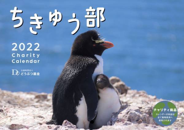 買って応援　犬猫殺処分ゼロへ　応募作品で作られた2022年チャリティーカレンダーを限定販売！第12回「いのちつないだワンニャン写真・動画コンテスト」環境大臣賞も発表