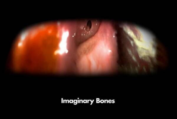 岸 裕真　個展「Imaginary Bones」　神楽坂・√K Contemporaryにて10月17日より開催！