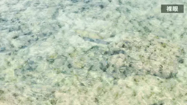 福井の眼鏡メーカーが考案した、太陽の光で瞬時にレンズの濃淡が切り替わるサングラス、Makuakeにて目標金額570％達成