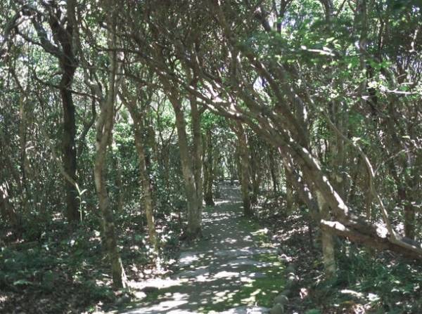 サスティナブルなもの作りを続ける“ayanoguchiaya アヤノグチアヤ”新作展示会が10/13～開催