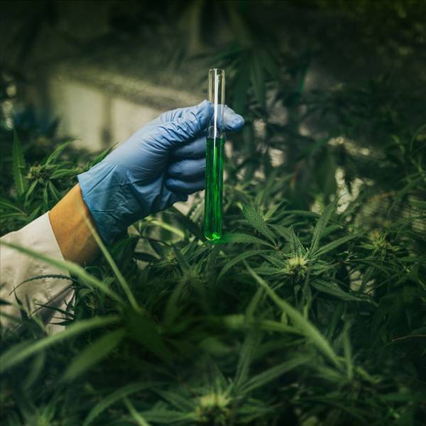 あさ製薬が日本人医師監修　頑張る人のためのCBDオイルを発売　～コロナ禍の不安や疲れの残る朝に～