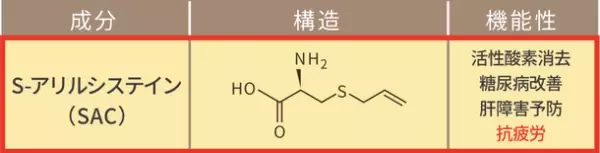 「SAC研究会」設立のお知らせ　～科学的に解明されたニンニクの力“SAC”の普及を目指して～