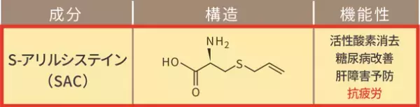 「SAC研究会」設立のお知らせ　～科学的に解明されたニンニクの力“SAC”の普及を目指して～