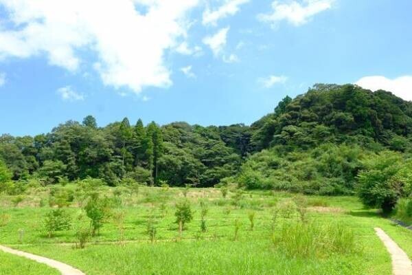 “自然の森をつくるお墓”　千葉県長南町のふるさと納税返礼品に10月より採用