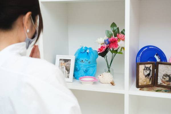 ドッグラン、トリミングサロン、トレーニング＆しつけ教室、ペットセレモニーまでワンちゃんとパートナーが楽しく過ごせる複合施設『WAKUWAKUドッグランド神戸六甲』が兵庫県にオープン！