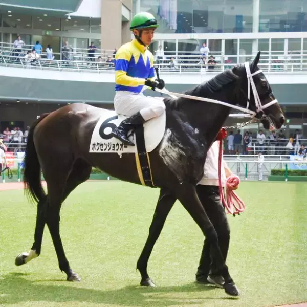 競馬ファンのお気に入りの馬や想い出の馬があのレースで走った時のゼッケンをグッズにして新発売！