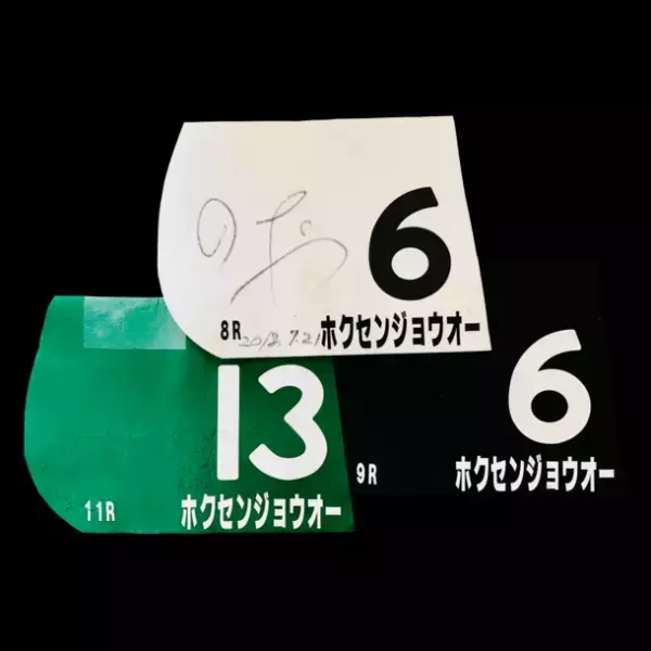 競馬ファンのお気に入りの馬や想い出の馬があのレースで走った時のゼッケンをグッズにして新発売！