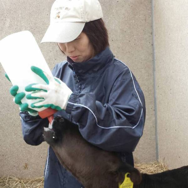 仔牛の防寒保温対策に！毎年好評な「カーフジャケット」アルミ生地にキルト加工を施し10月10日に新発売！