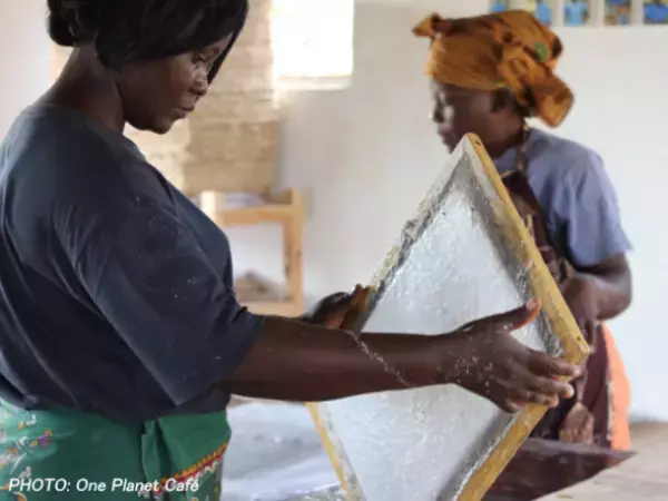 植木屋×SDGs！エシカルな“バナナペーパー”を使用した投函用チラシをクイック・ガーデニングが作成