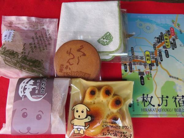 2021年10月9日（土）から定期観光船「淀川浪漫紀行」の運航を再開！