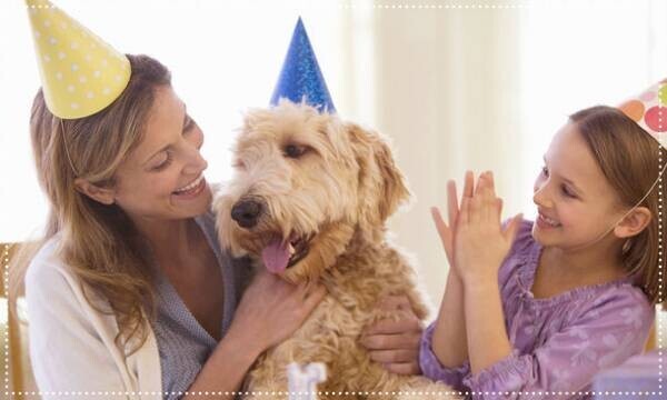 愛犬と家族でクリスマスを楽しむ！「コミフ」のXmasケーキが10月1日より予約販売を開始！～ディナーを彩るワンちゃん用デリも販売開始！～