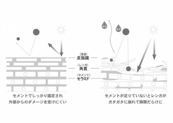 『セラミドは新次元へ』　研ぎ澄まされた実力を発揮する“セラミド特化型美容液”新発売