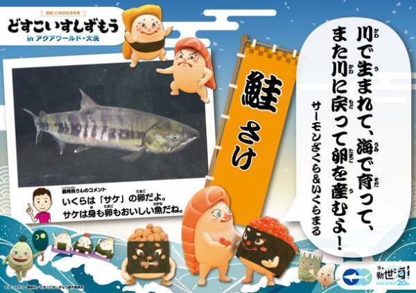 アクアワールド・大洗、開館20周年記念事業　アニメ「どすこいすしずもう」とのコラボ企画が12月5日まで開催