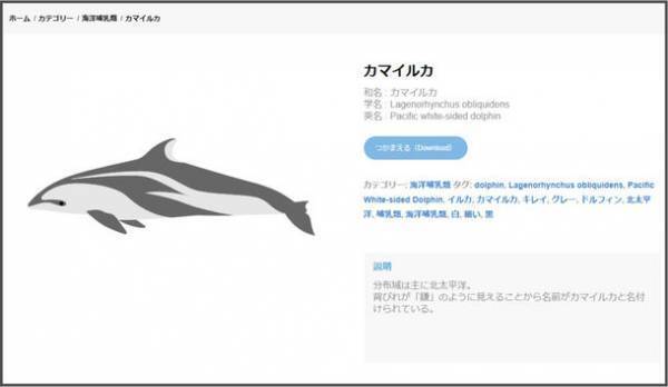 海の生き物専門のフリーイラストサービス・コンテンツが拡大！総ダウンロード数5,000突破、全150種以上